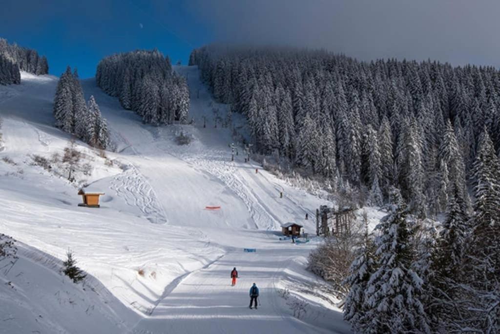 L'Enchalpe, Grand Et Lumineux Studio Avec Coin Montagne 5 Personnes, 60M Des Pistes, Piscine Couverte, Wifi, Grand Balcon Expo Est, Draps Non Compris Saint-Jean-dʼAulps Eksteriør bilde